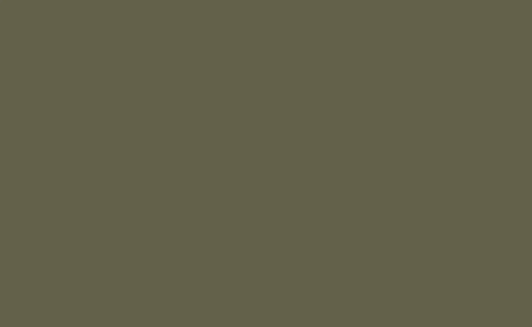 Vert Agave